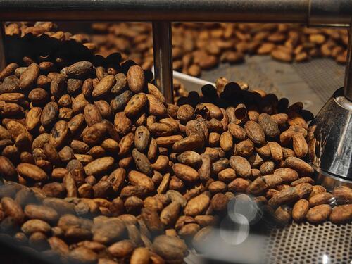 La fabbrica del cioccolato di Enrico Rizzi