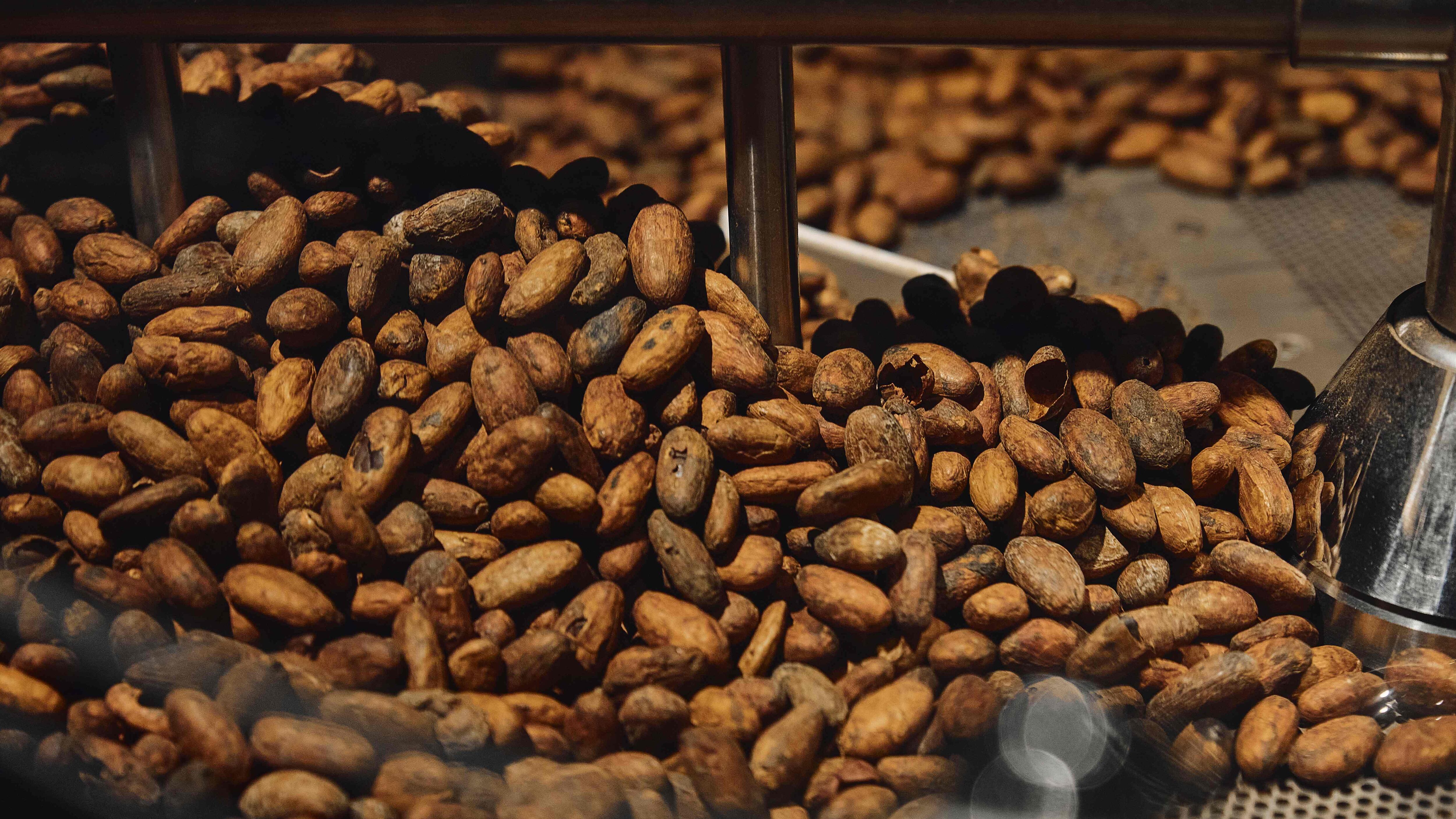 La fabbrica del cioccolato di Enrico Rizzi