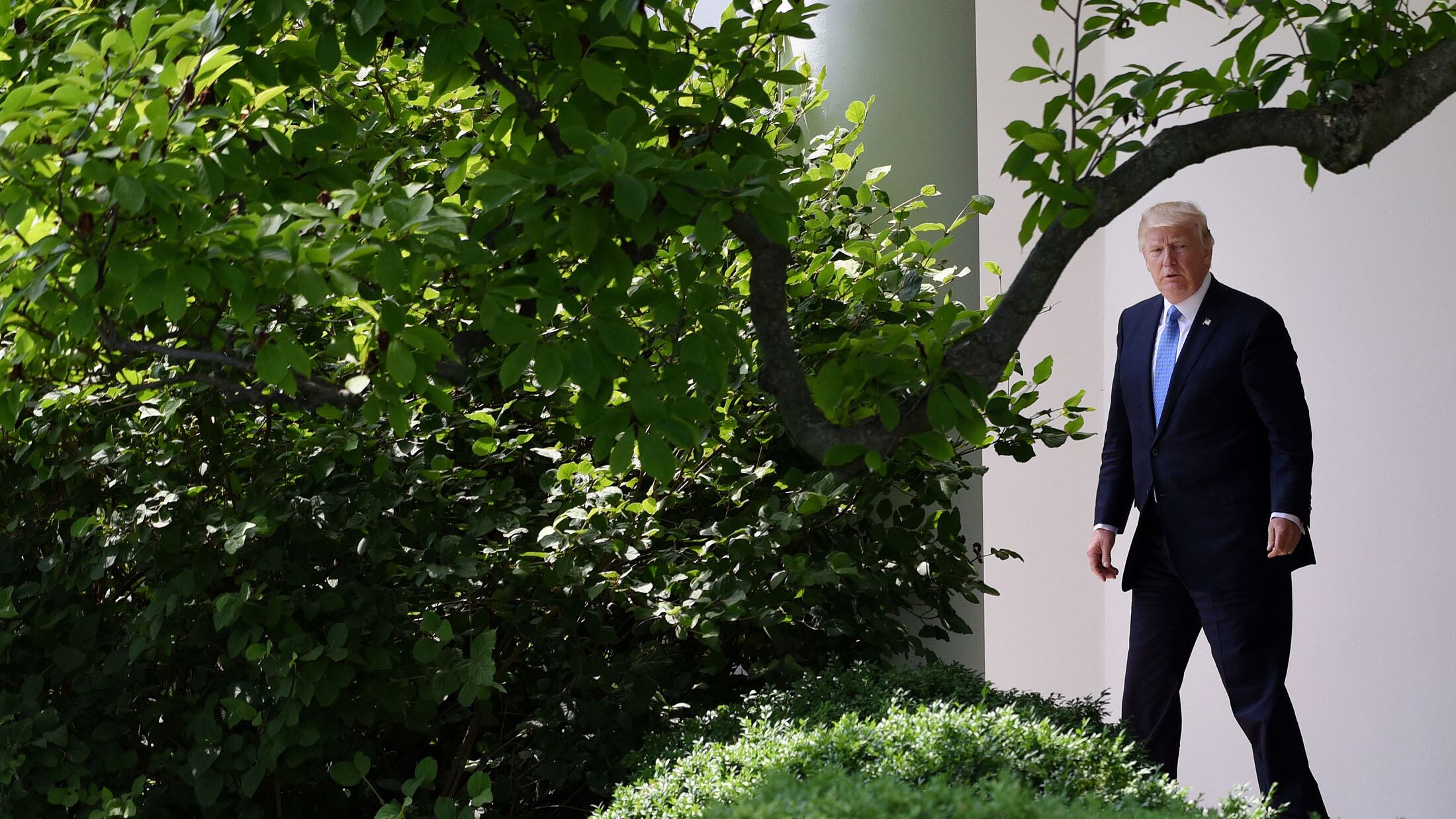 Il Washington Post: "Russiagate, coinvolto alto funzionario della Casa Bianca"