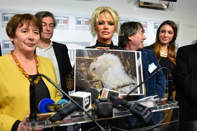 Pamela Anderson contro il foie gras 4