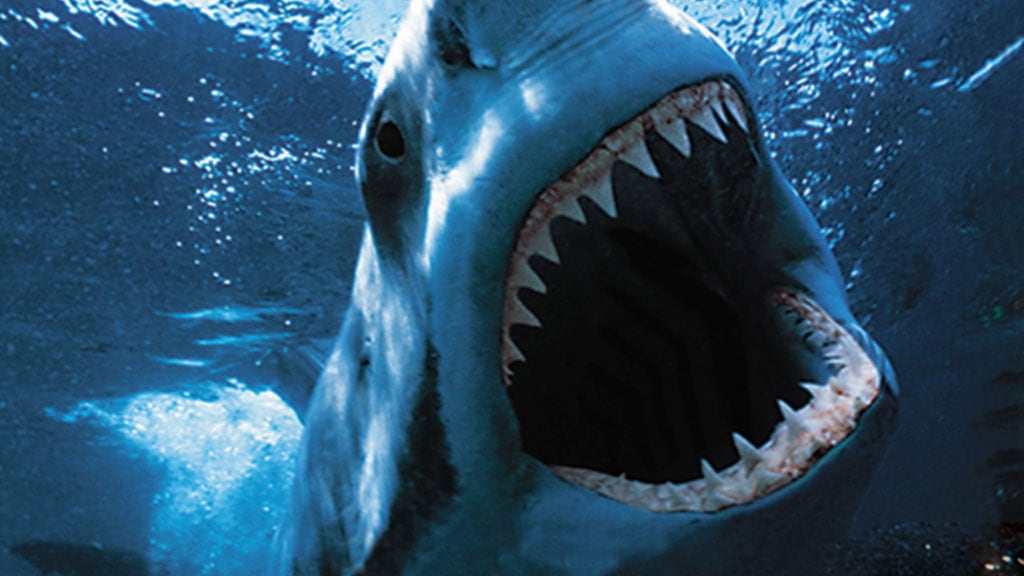 Se gli tsunami fanno rivivere i pesci-mostro della preistoria