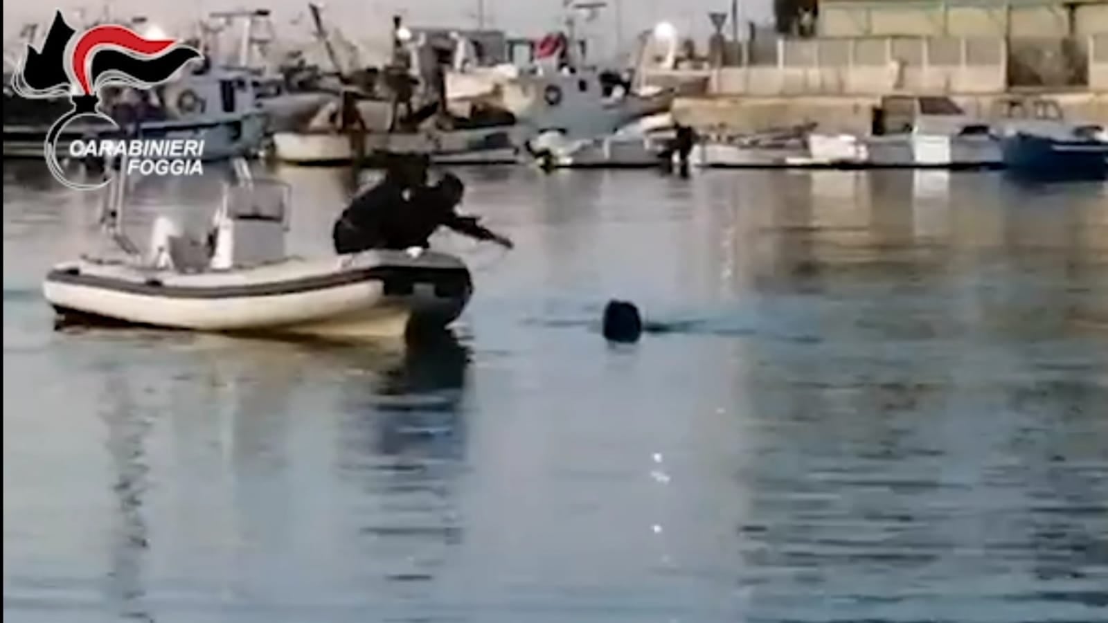 La fuga in mare del ladro di merendine