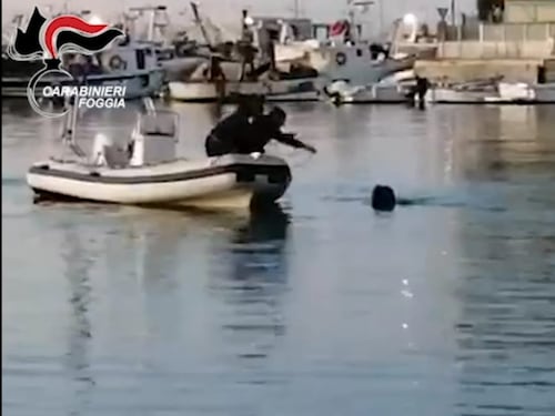 La fuga in mare del ladro di merendine
