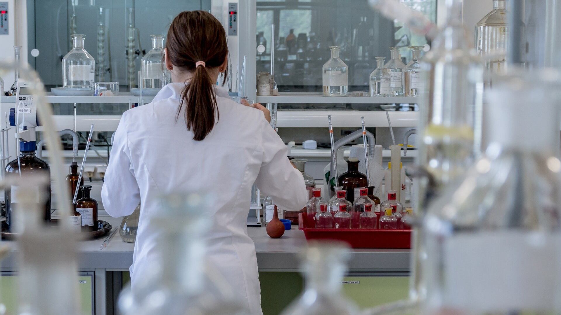Covid, ecco quanto durano davvero gli anticorpi