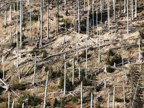Agricoltura scoperta: il rischio climatico minaccia il 15% del Pil