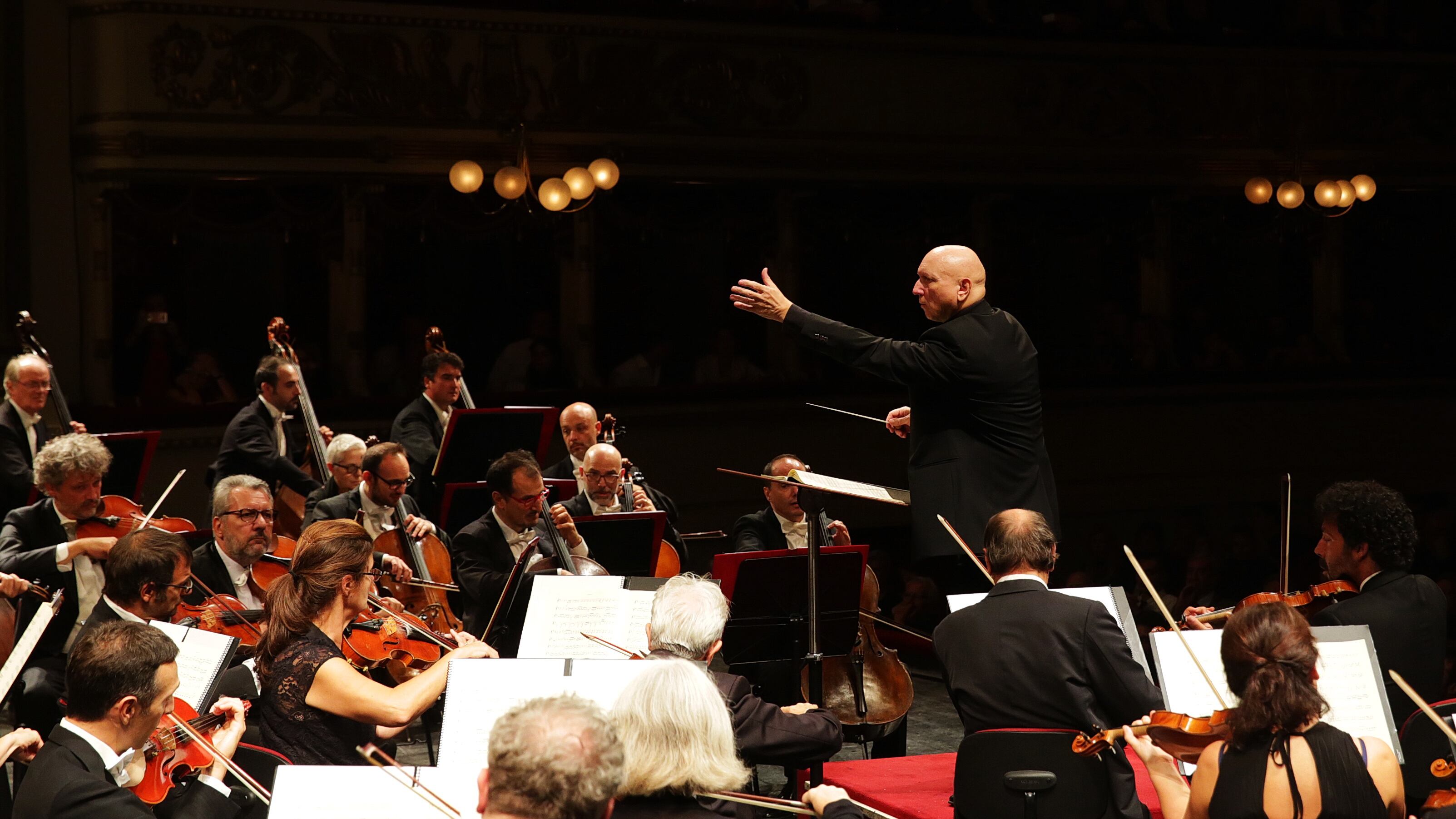 Gli auguri a suon di Mozart e Vivaldi