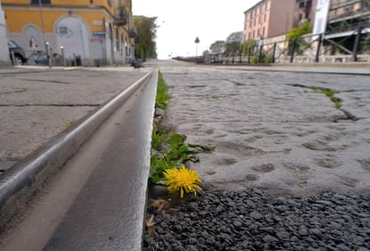 A Milano, la natura riprende i suoi spazi in città 1