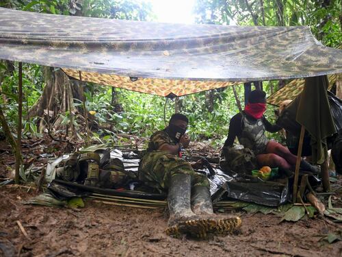 Colombia, l'Esercito Liberazione Nazionale nella giungla