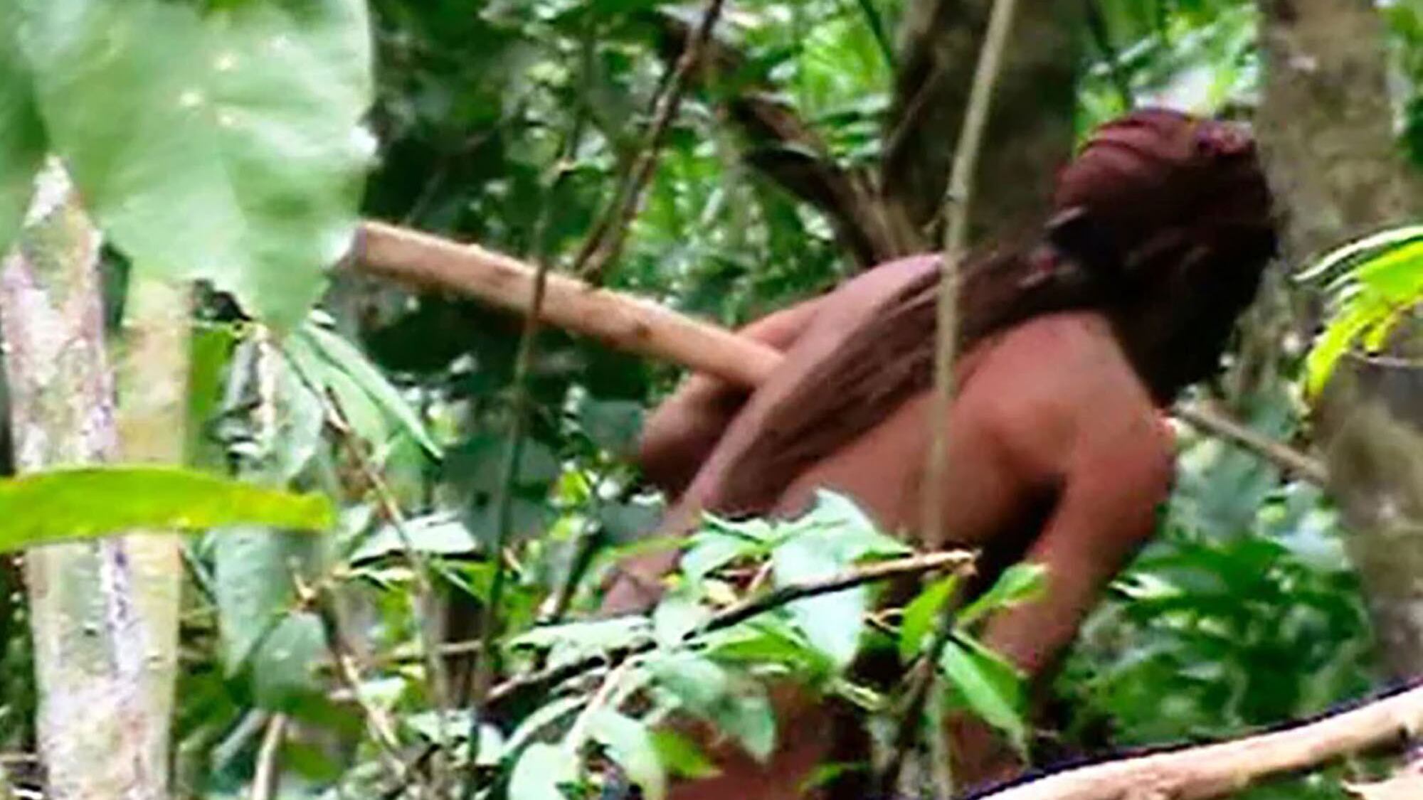 È morto l'"uomo più solo del mondo": da 26 anni si nascondeva nella foresta