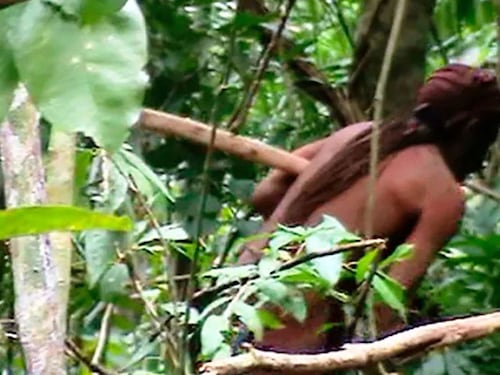 È morto l'"uomo più solo del mondo": da 26 anni si nascondeva nella foresta