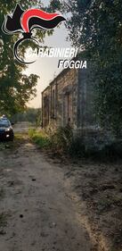 Foggia, trovati in campagna otto chili di kobret  3