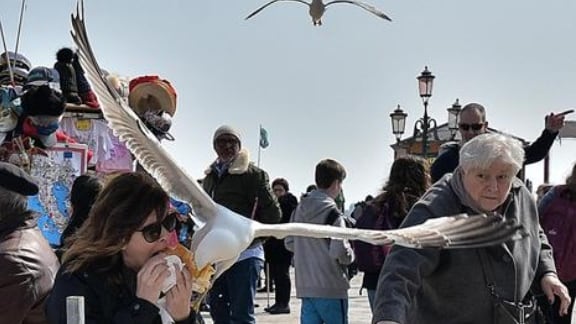 Ecco perché a Venezia i turisti girano con le pistole ad acqua