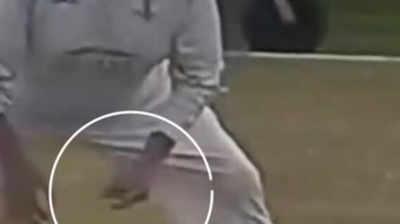 cricket