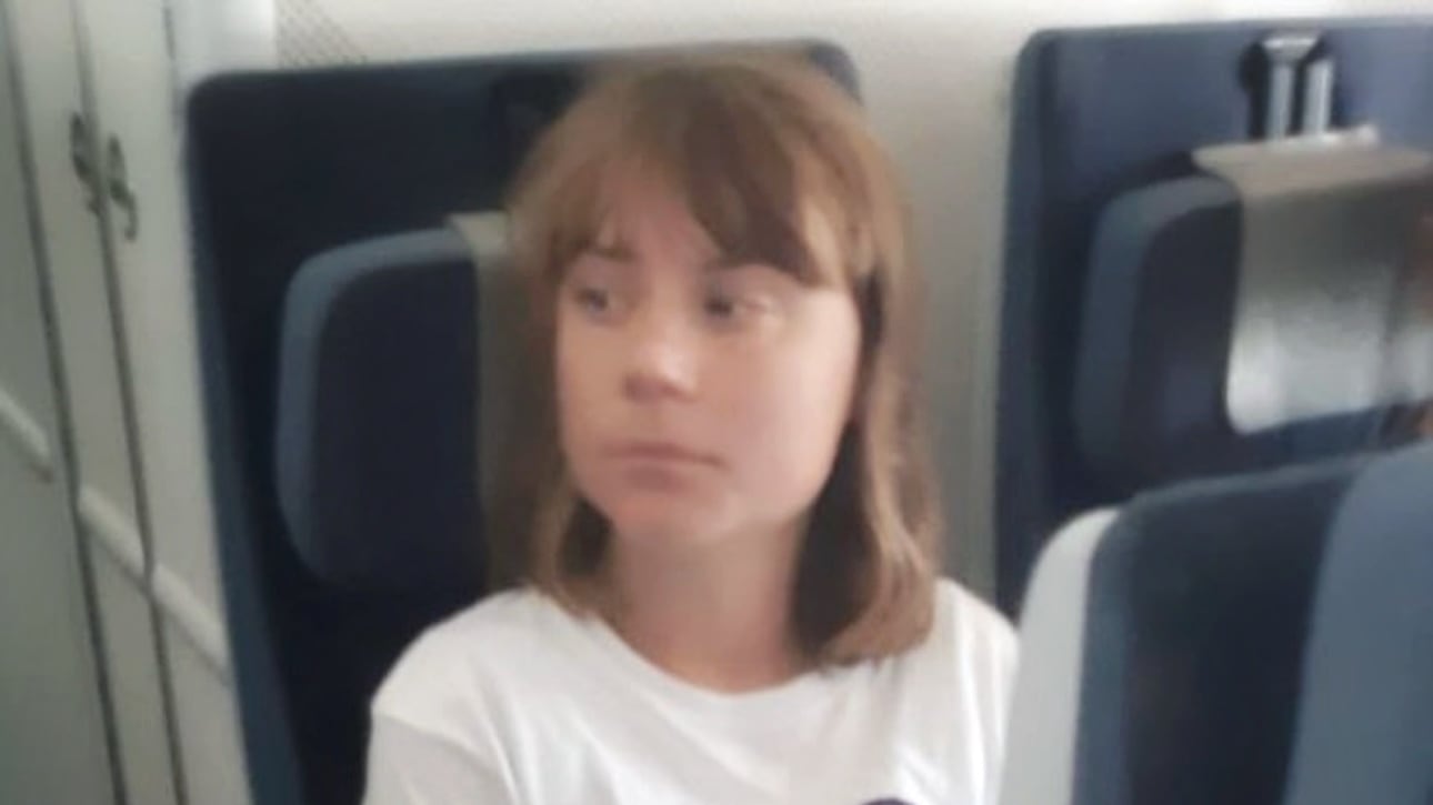 Greta Thunberg espulsa da Israele: "È in volo verso la Francia"