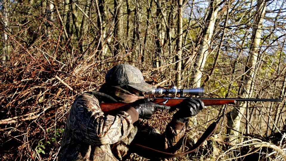 Sogna lo spirito del cugino scomparso: "Lo hanno ucciso, è nel bosco"