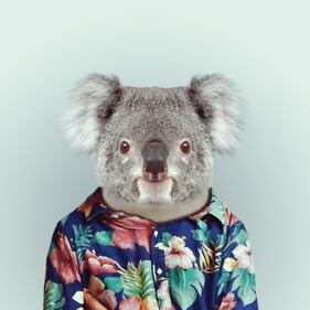 Avete mai visto animali vestiti da esseri umani? 16