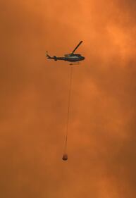 L'Australia minacciata dagli incendi: è emergenza 12
