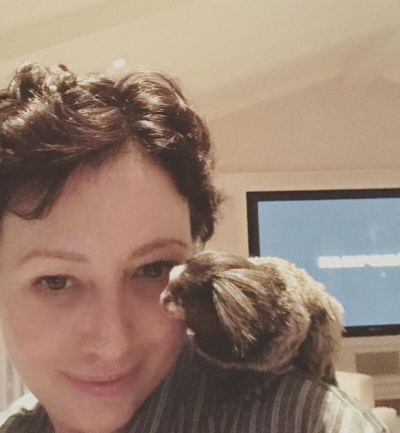 Shannen Doherty, come è cambiata 14