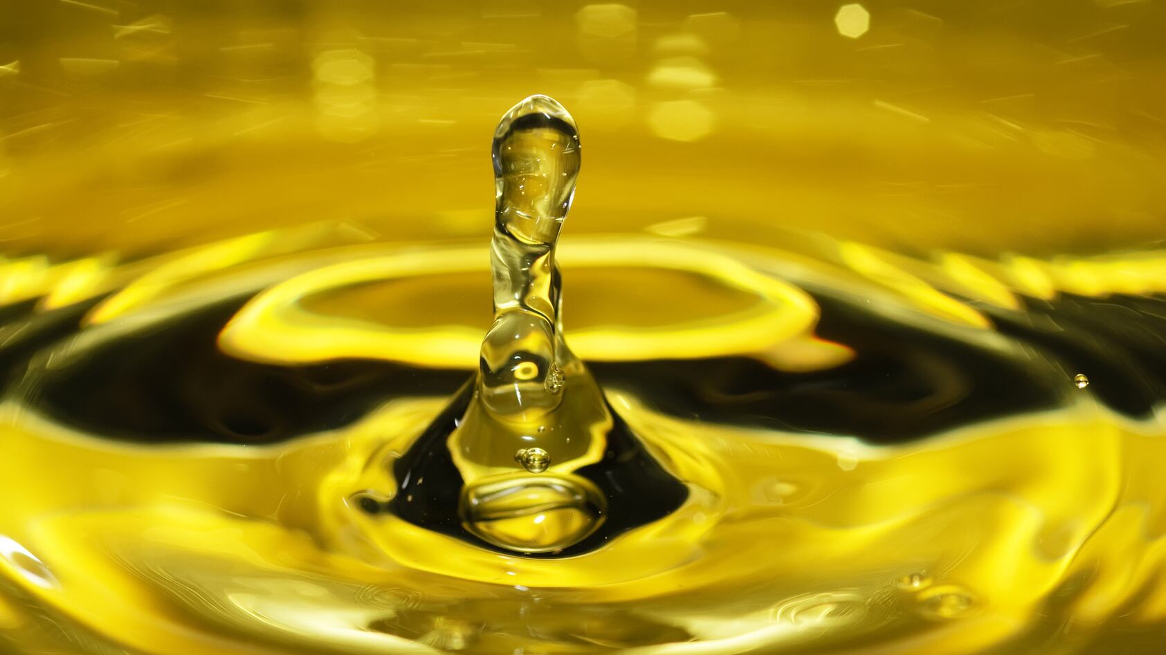 I produttori pugliesi fanno argine contro la marea dell’olio tunisino