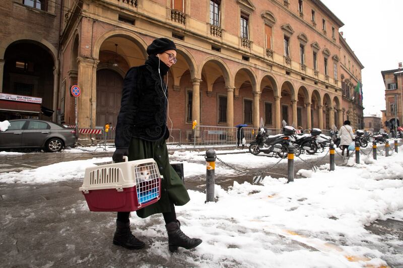 Bologna sotto la neve, le immagini 6