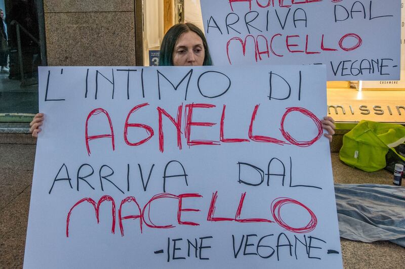 Iene Vegane protestano contro Intimissimi 5