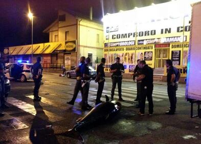 Roma, Tiburtina "invasa" dai tonni 5