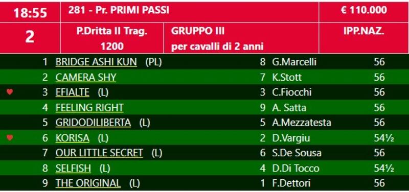 Primi passi 2024