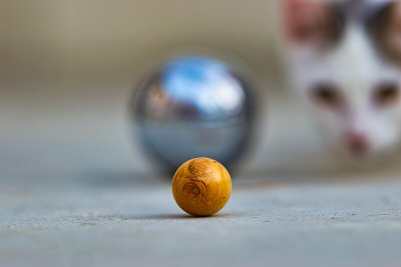 Gioco delle bocce