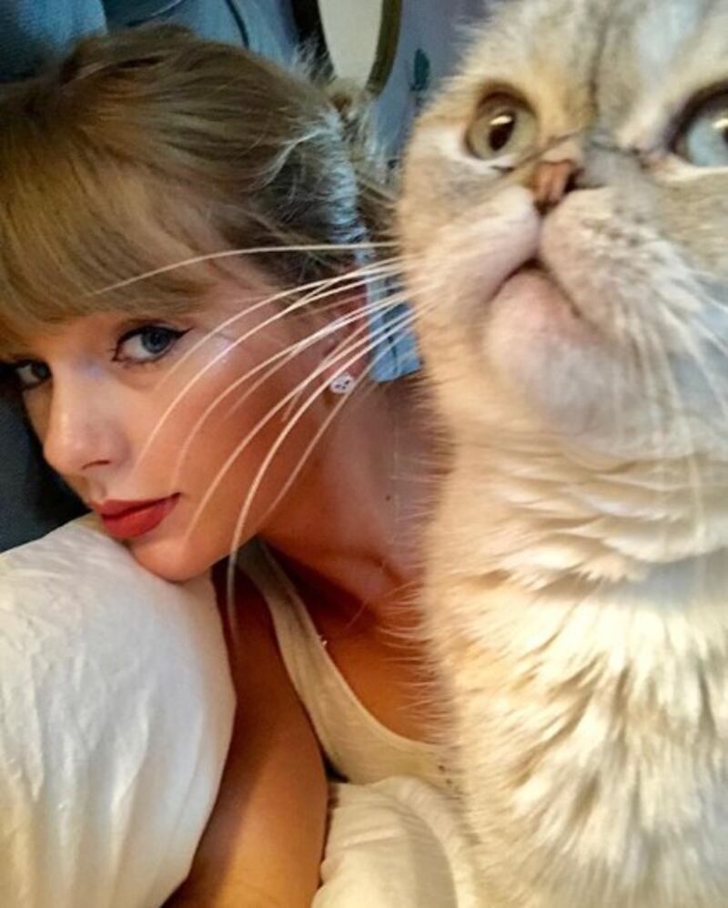 Taylor Swift, le foto più belle 3