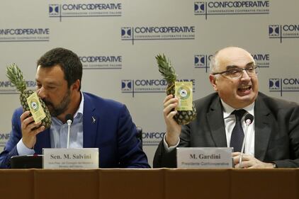 Salvini e l'ananas al seminario di Confcooperative 4