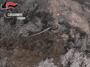 Cerignola, bruciavano i rifiuti in campagna: tre denunce 8