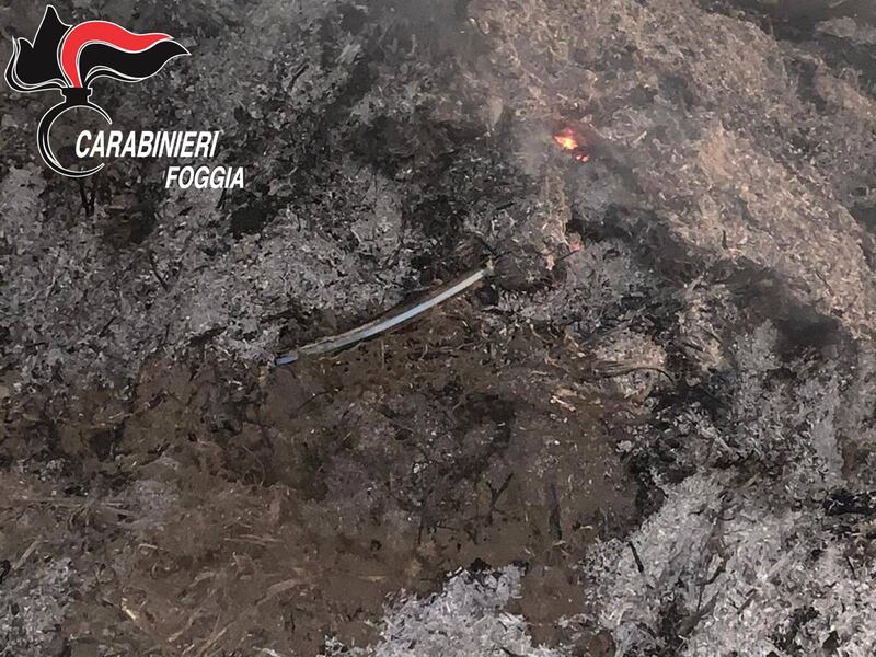 Cerignola, bruciavano i rifiuti in campagna: tre denunce 8