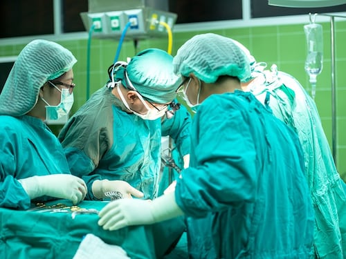 Trapianti, record di donazioni di organi nel 2022