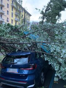 Tempesta su Milano, blocco alla viabilità e problemi ai trasporti 9