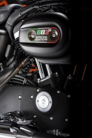 Harley-Davidson Iron 883 Special Edition S 7