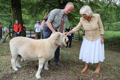 Il Principe Carlo e Camilla Parker Bowles: foto 8