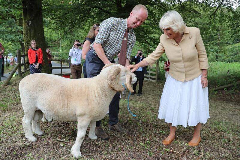 Il Principe Carlo e Camilla Parker Bowles: foto 8