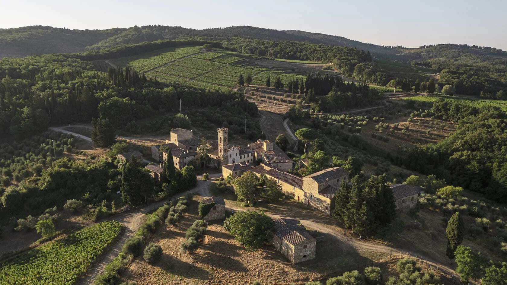 Chardonnay Isole e Olena, il lato “bianco” del Chianti Classico