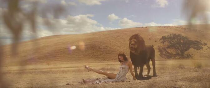 Taylor Swift sexy e selvaggia in Africa, ma è polemica 8