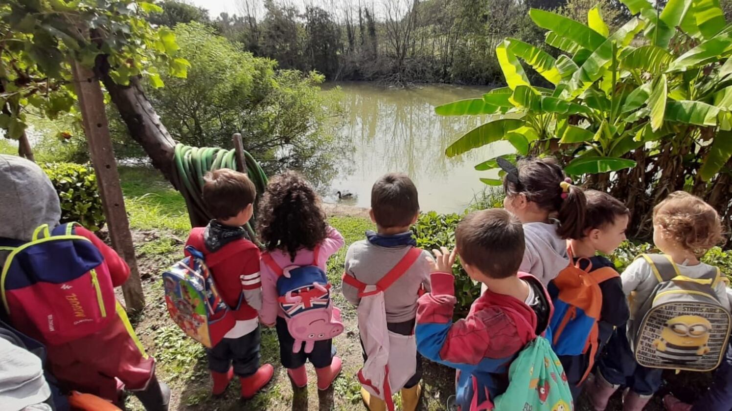 Sala, il sindaco ecologista che "taglia" la Scuola natura