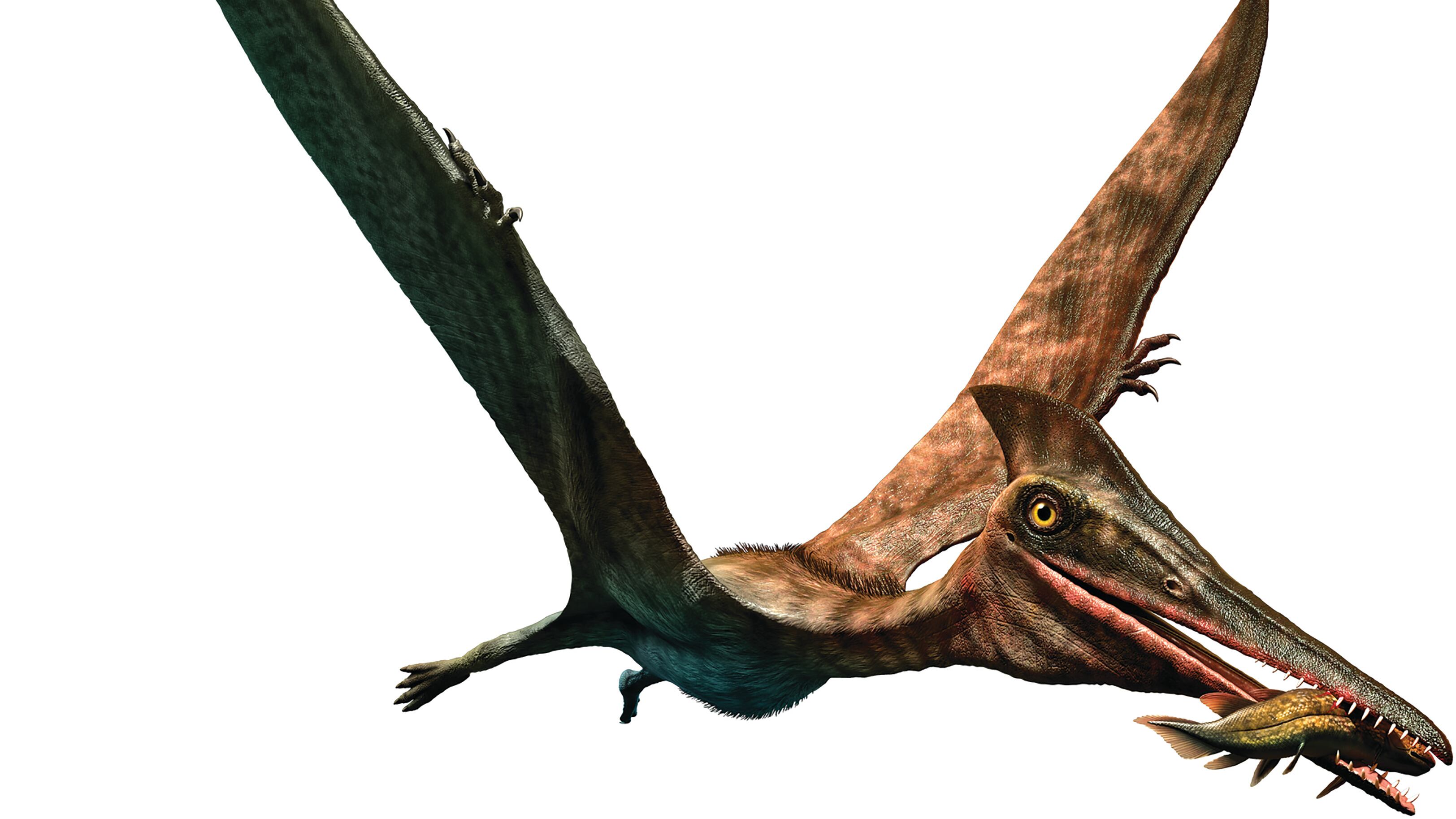 "Piume e denti giganti: l'impero dei dinosauri"