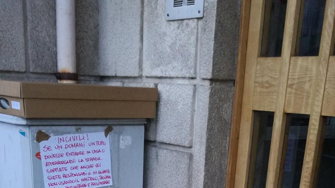 La gogna social del sindaco di Bari: è boom per lo "schifoso del giorno"