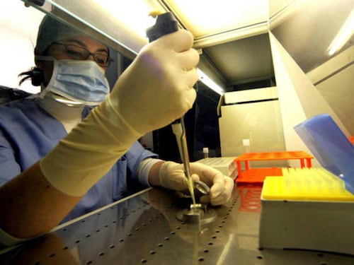 Intelligenza artificiale e fecondazione in vitro: allarme business dagli Usa