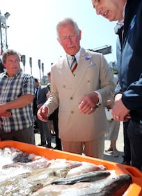 Il Principe Carlo e Camilla Parker Bowles: foto 2