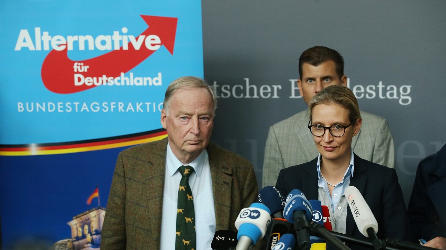 L'accusa dello Spiegel all'Afd: "Finanziati da un miliardario"