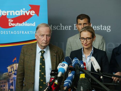 L'accusa dello Spiegel all'Afd: "Finanziati da un miliardario"