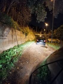 Alberi sradicati, tettoie divelte: l'incubo del vento in Sicilia 5