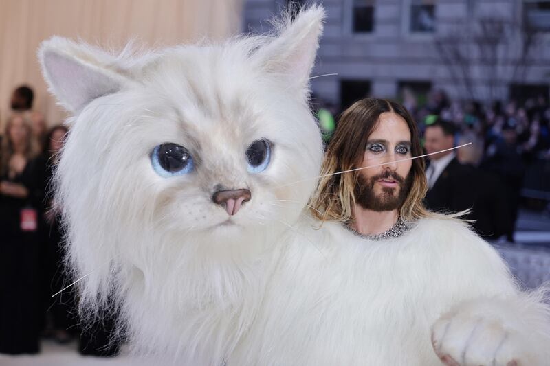 L'omaggio felino a Lagerfeld di Jared Ledo (e gli altri) 1