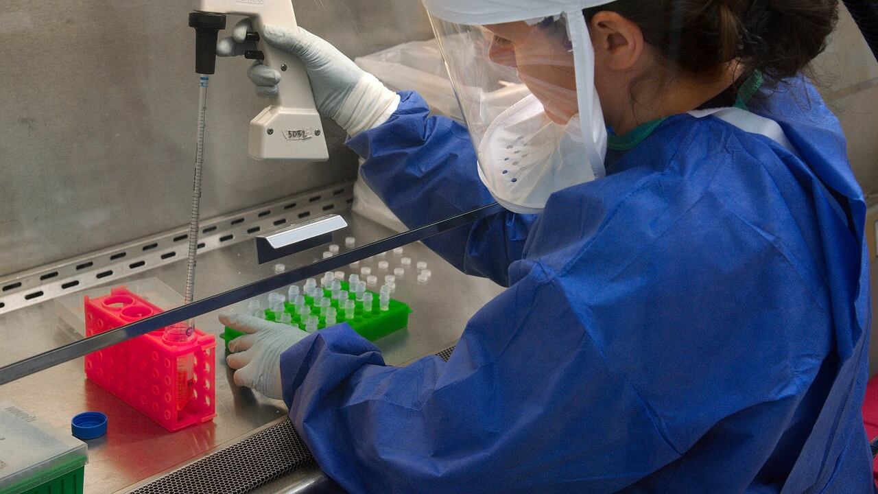 Scoperto nuovo bersaglio terapeutico per forme aggressive di cancro