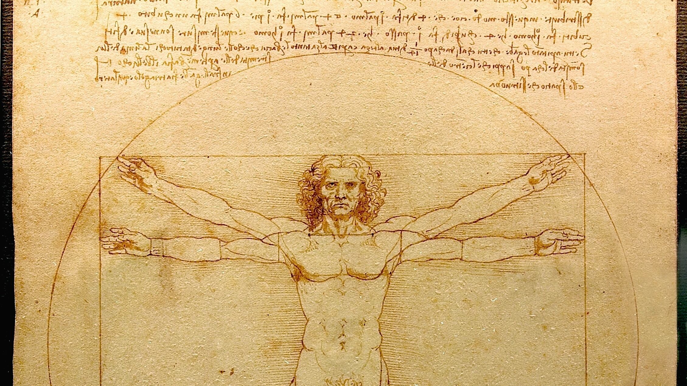 Leonardo e il triangolo della mandibola: scoperta o ennesima proiezione a posteriori?